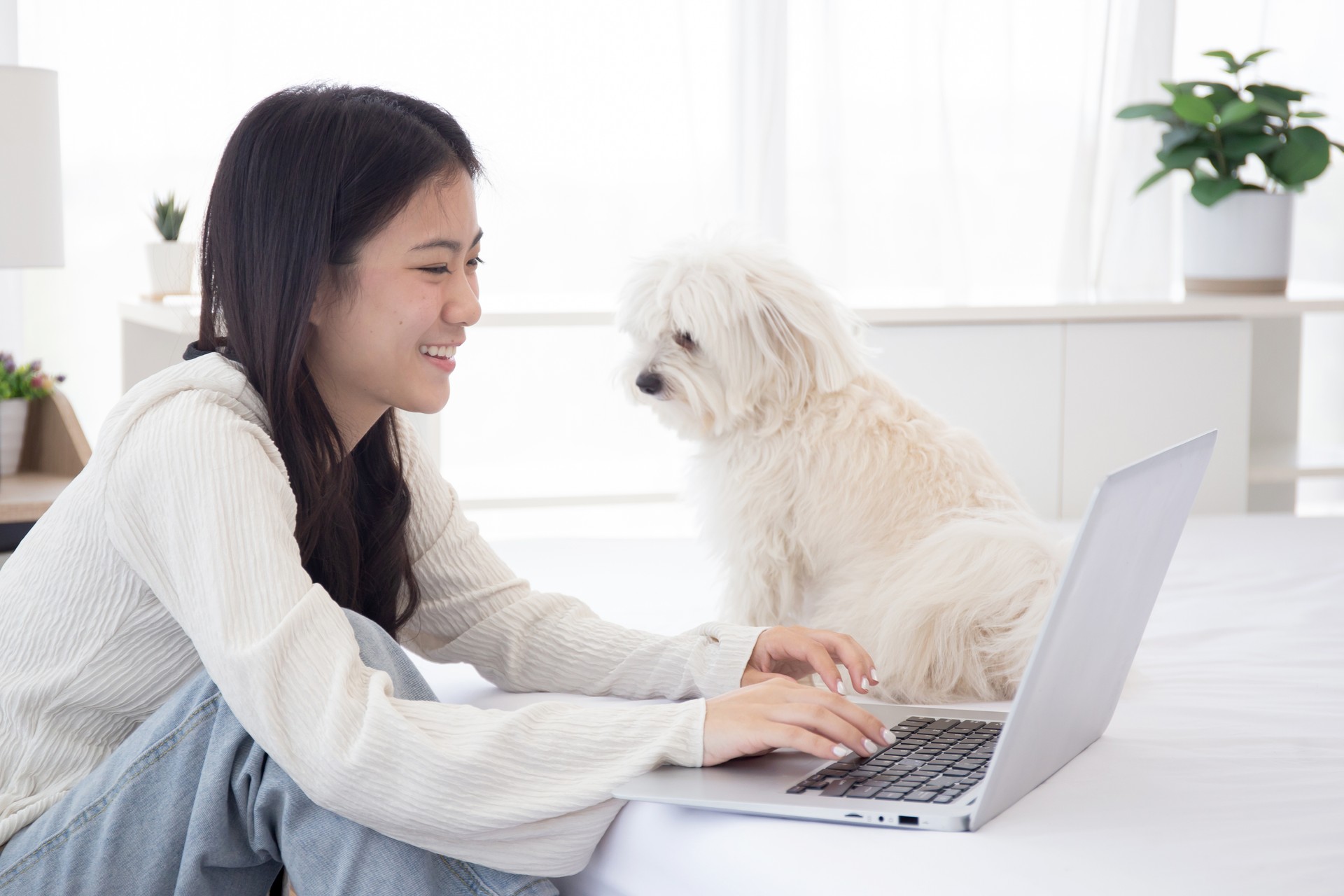 Beautiful young asian woman smile sitting working on laptop computer to internet online with cozy with companion dog in the bedroom at home, woman using notebook leisure with pet, lifestyles concept.